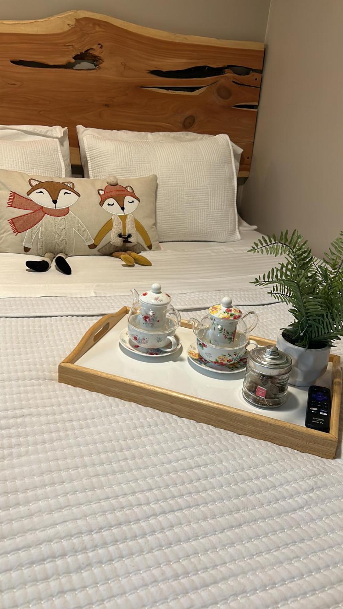 Sweet Tiny Cabin Tampa Bagian luar foto